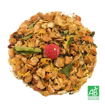 Tisane jolies jambes, tisane pamplemousse groseille bio, sélection thé