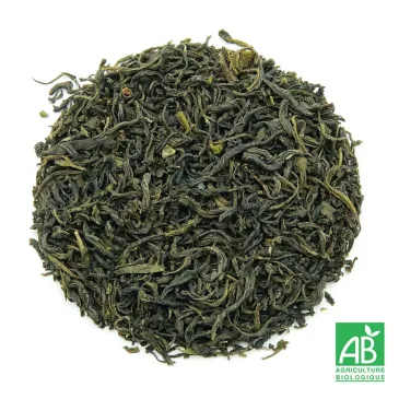 Thé vert Misty Green, thé vert bio, thé vert de Chine, sélection thé