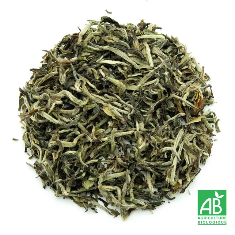 Thé blanc Shangri-La, thé blanc bio, thé blanc du Népal, sélection thé
