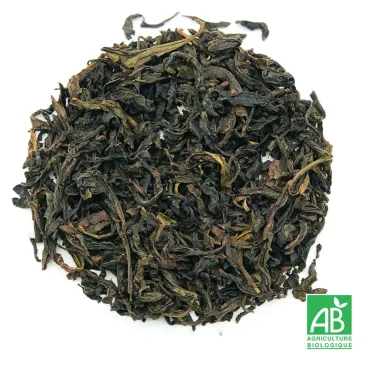 Thé oolong Da Hong Pao bio, oolong bio de Chine, sélection thé