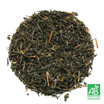 GOLDEN TIPPY OP BIO n°43