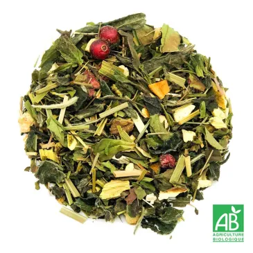 PAMPLEMOUSSE CITRON BIO n°73