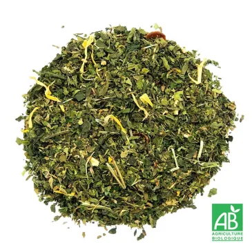 TISANE ACTIVE BIO n°75