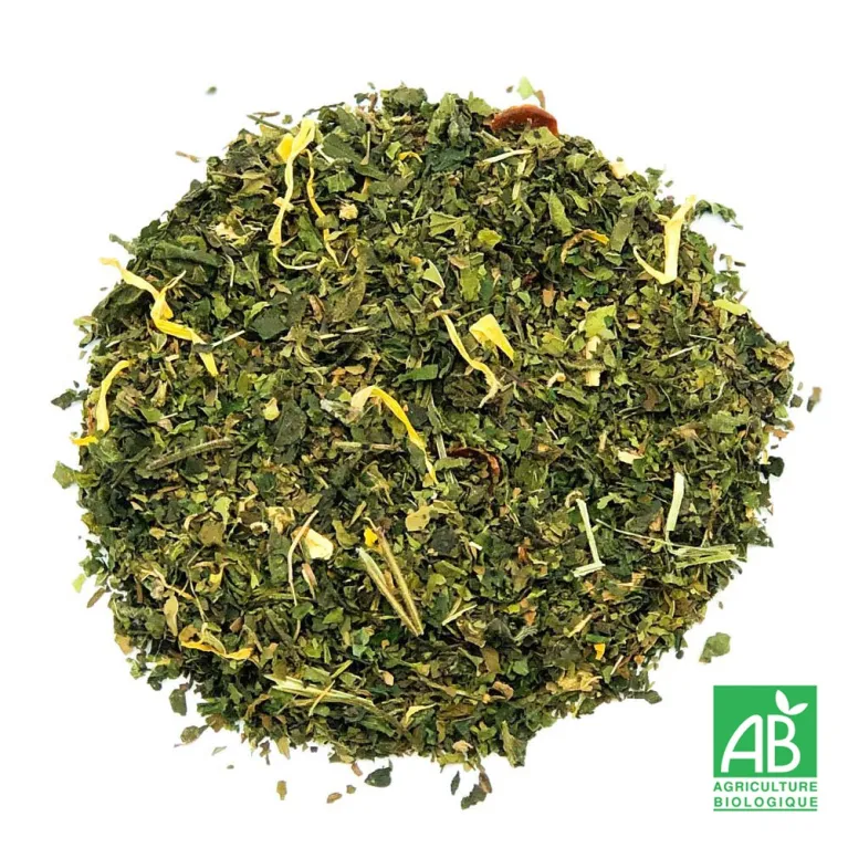 TISANE ACTIVE BIO n°75