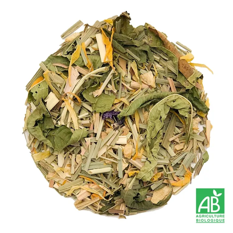 Tisane bio, gingembre, tisane pour l'hiver, sélection thé