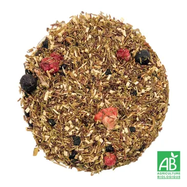 FRUITS ROUGES BIO N°165