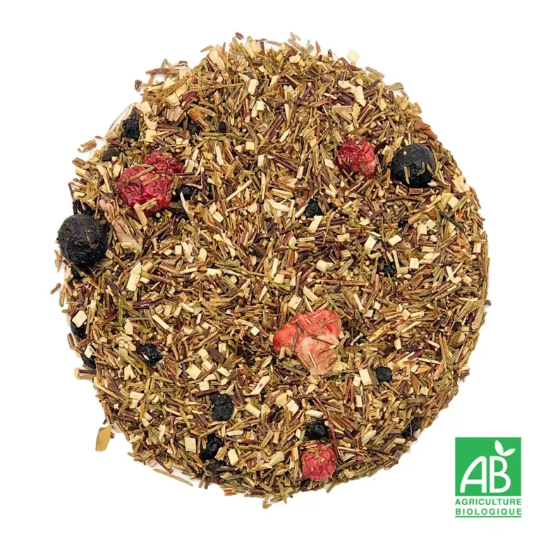 FRUITS ROUGES BIO N°165