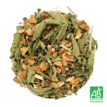 Tisane jolies jambes, tisane pamplemousse groseille bio, sélection thé