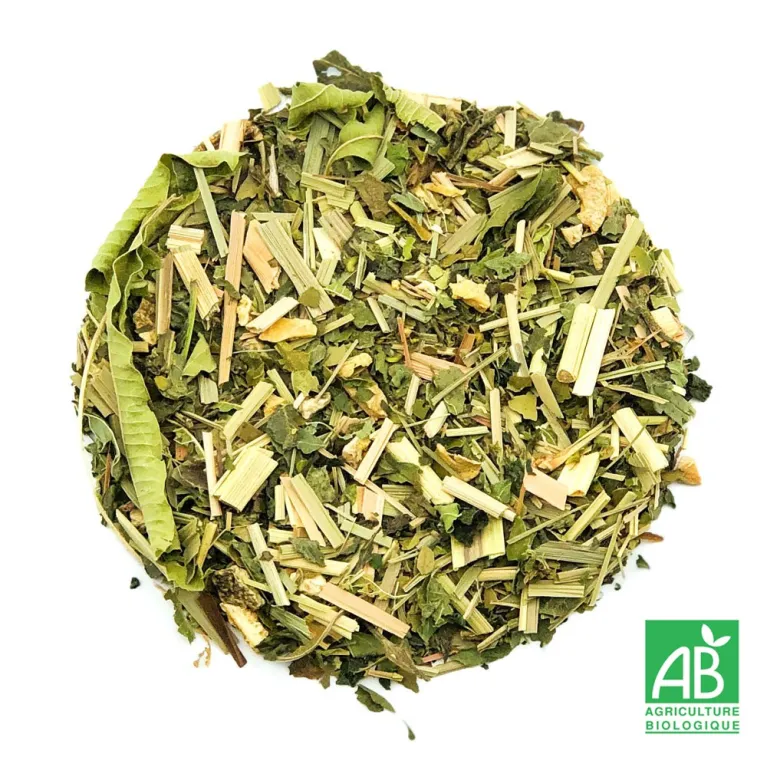 Green spirit Bio, mélange à base de maté, maté bio, sélection thé