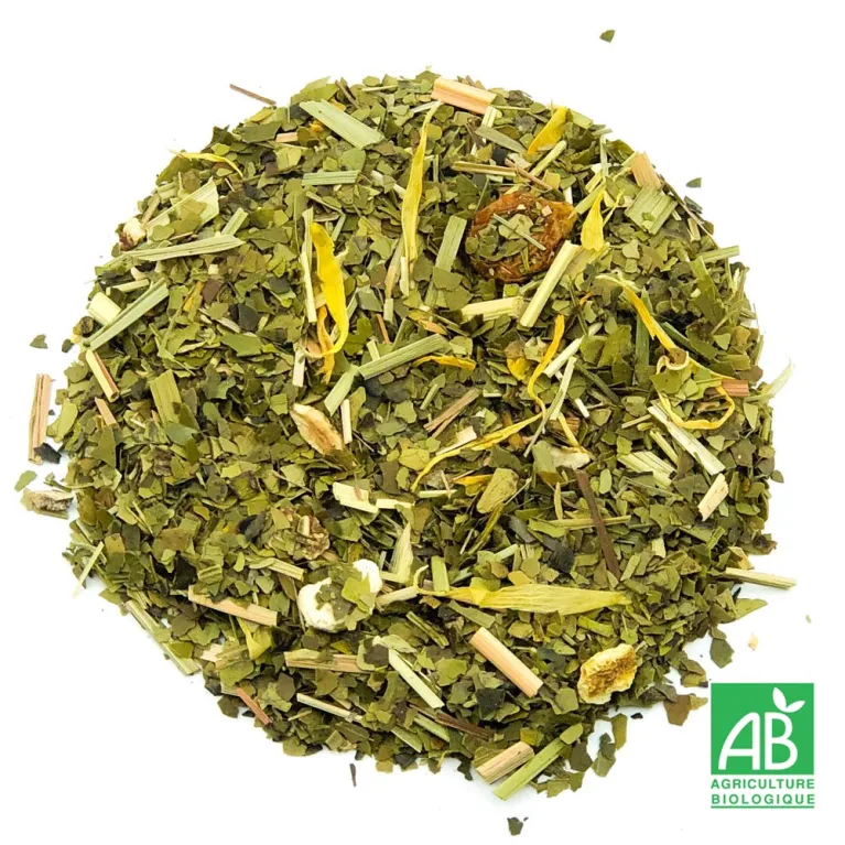 Maté acidulé bio, maté pamplemousse citron bio, sélection thé