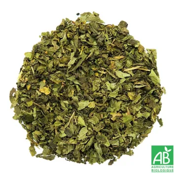 Thé vert bio menthe, thé vert rafraichissant, menthe poivrée,