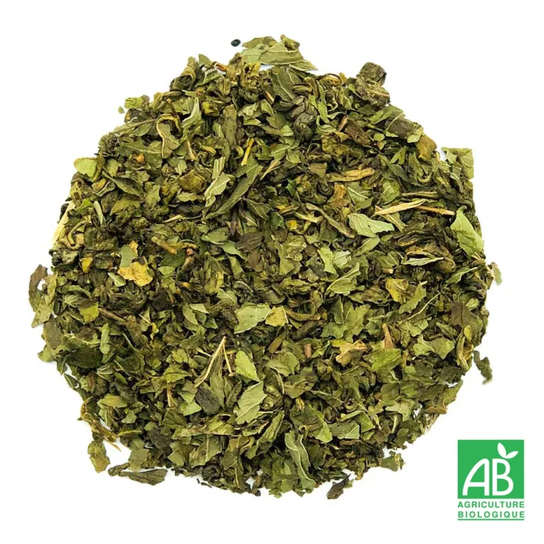 Thé vert bio menthe, thé vert rafraichissant, menthe poivrée,