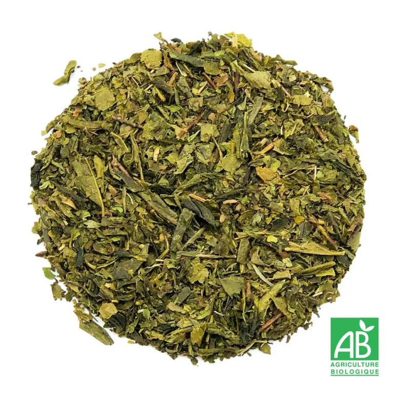 Thé vert menthe bio, thé vert de Chine, sélection thé
