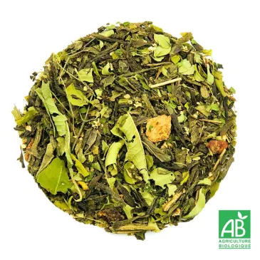 Thé vert Groovy Green Bio, thé vert figue de barbarie, sélection thé