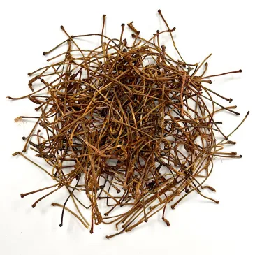 tisane queues de cerise, tisane détoxifiante, confort urinaire, sélection thé