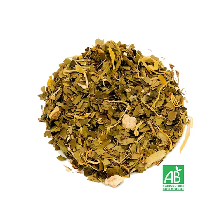 Maté orange sanguine BIO,  sélection thé